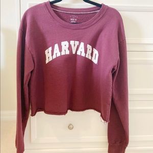 Harvard crewneck cropped sweater